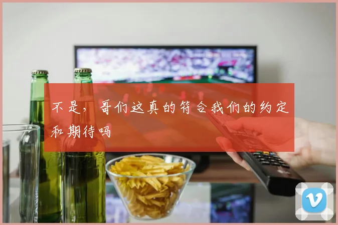不是，哥们这真的符合我们的约定和期待吗