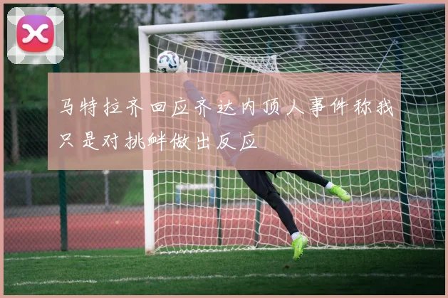 马特拉齐回应齐达内顶人事件称我只是对挑衅做出反应