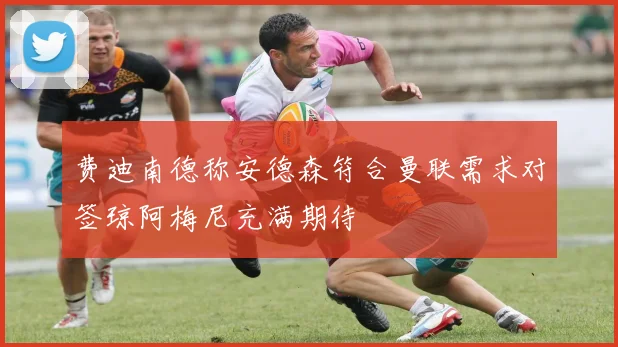 费迪南德称安德森符合曼联需求对签琼阿梅尼充满期待